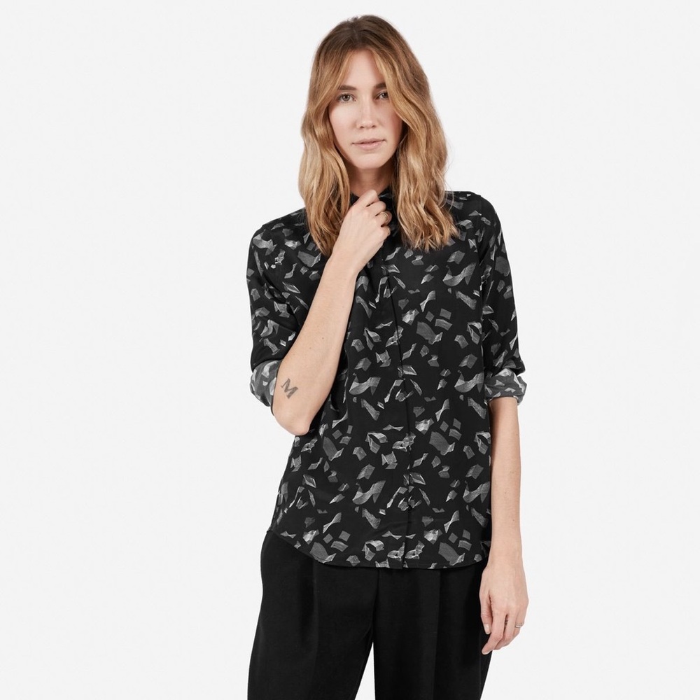 Everlane LE Silk Shirt in Artist Print